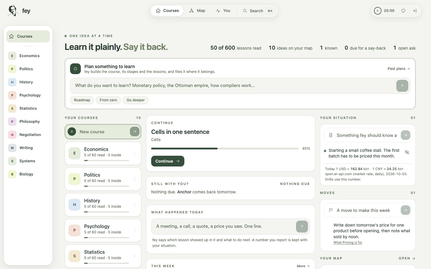 fey screenshot 10